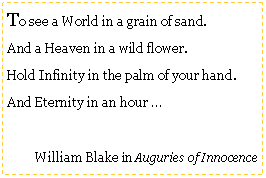 Text Box: To see a World in a grain of sand.
And a Heaven in a wild flower.
Hold Infinity in the palm of your hand.
And Eternity in an hour …
William Blake in Auguries of Innocence