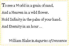 Text Box: To see a World in a grain of sand.And a Heaven in a wild flower.Hold Infinity in the palm of your hand.And Eternity in an hour …William Blake in Auguries of Innocence 