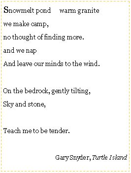 Text Box: Snowmelt pond warm granite
we make camp,
no thought of finding more.
and we nap
And leave our minds to the wind.
On the bedrock, gently tilting,
Sky and stone,
Teach me to be tender.
Gary Snyder, Turtle Island